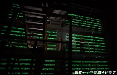 Vast mining farm with hundreds of miners working in unison