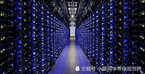 A sprawling Canadian mining farm harnessing the power of renewable energy.