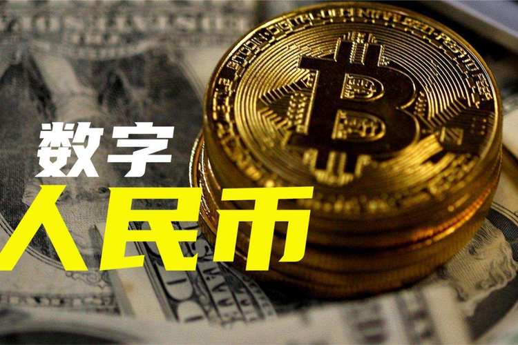 Bitcoin mining farm with rows of ASIC miners