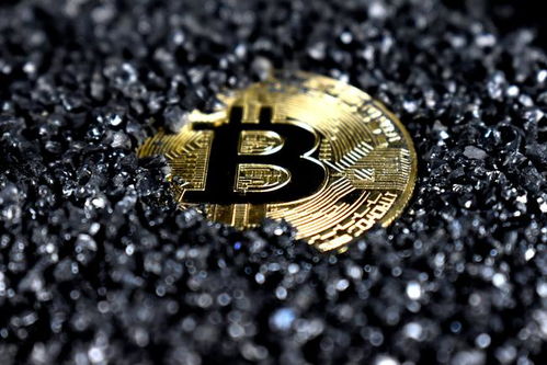 Mining software interface